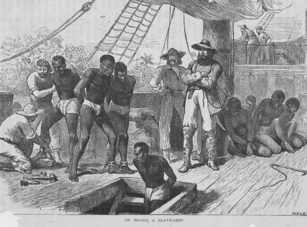 Enslaved people aboard a ship being shackled before being put in the hold. Illustration by Swain