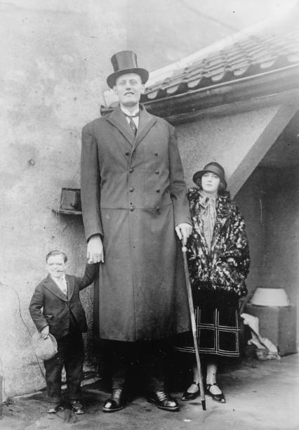 Average height of a human midget