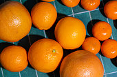 an image citrus medley scene teal