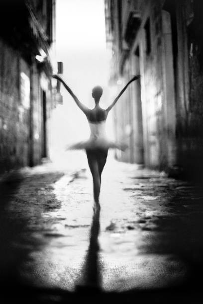 Ballerina bilder - Der Testsieger unserer Redaktion