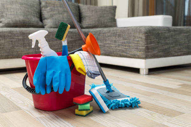 cleaning-service-sponges-chemicals-and-mop-picture-id658890662