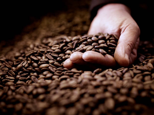 close up of hand cupping coffee beans picture