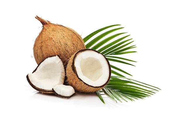 Image result for coconut