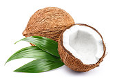 Coconuts with leaves on white