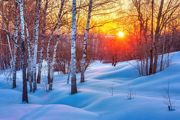 colorful-winter-sunset-picture-id616891550