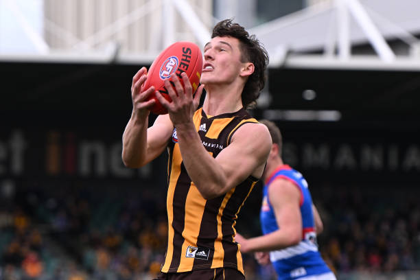 Connor Macdonald of the Hawks marks the ball during the round 23 AFL match between the Hawthorn Hawks and the Western Bulldogs at University of...