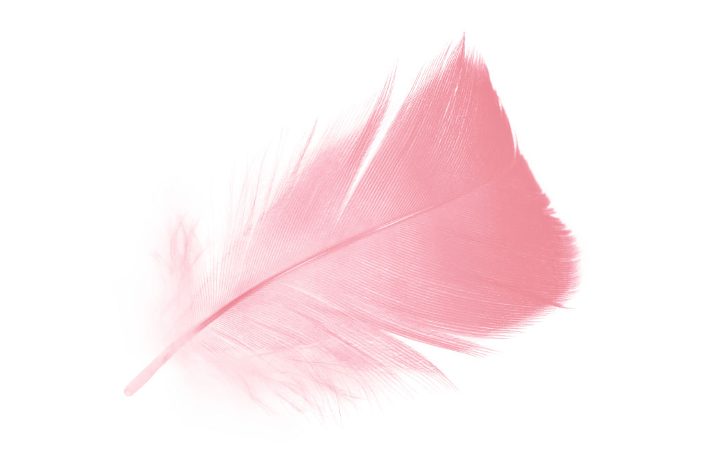 Coral Pink Feather