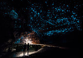 Couple standing underneath Glow Worm Sky in Waipu Cave, new Zealand