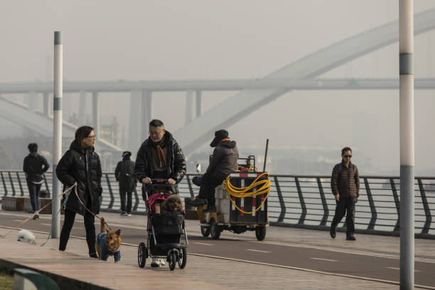 CHN: Views of Residents In Shanghai Ahead of China Population Growth Data