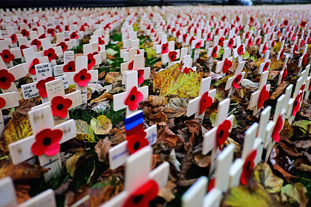 Crosses are placed in the garden of remembrance in Princess Street on Armistice Day on November 11 2014 in Edinburgh Scotland A two minute silence...