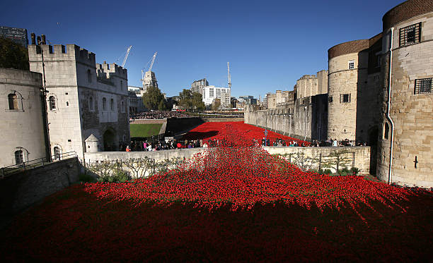 Crowds of visitors view the 'Blood Swept Lands and Seas of Red' installation in the moat of the Tower of London on November 9 2014 in London England...