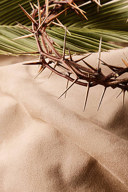 crown of thorns and palm leaf with copyspace - good friday stockfoto's en -beelden