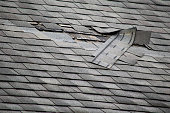 Damaged Roof Shingles