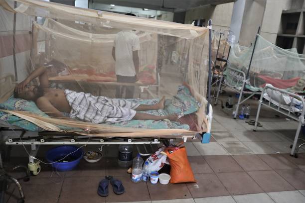 BGD: Dengue Fever In Dhaka