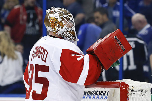 detroit-red-wings-goalie-jimmy-howard-wears-a-holiday-gingerbread-picture-id630390242