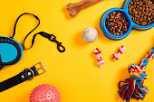 Dog accessories on yellow background. Top view. Pets and animals concept
