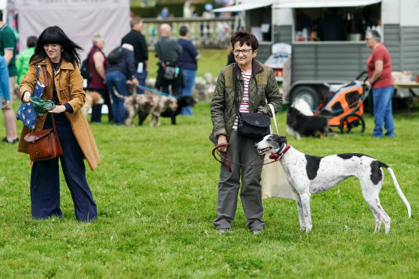 GBR: The Festival Of Dogs Weekend Begins At Castle Howard