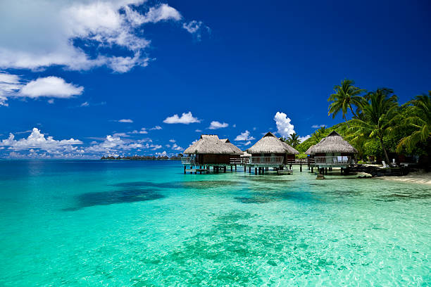 complejo turístico de lujo de vacaciones de ensueño - polinesia francesa fotografías e imágenes de stock