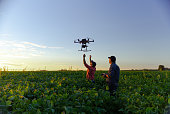 Drone in soybean crop.