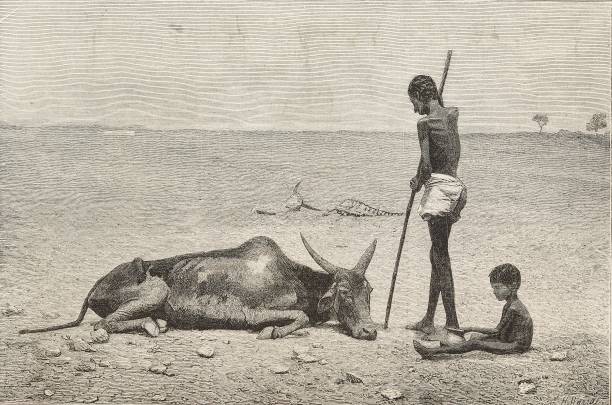 Dying ox, scenes in the Bellary district, Madras Presidency, the famine in India, illustration from the magazine The Graphic, volume XVI, no 410,...