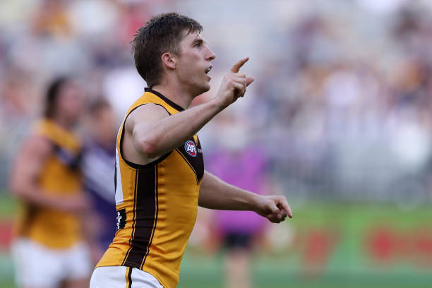 Dylan Moore of the Hawks celebrates after scoring a goal during the 2022 AFL Round 13 match between the Fremantle Dockers and the Hawthorn Hawks at...