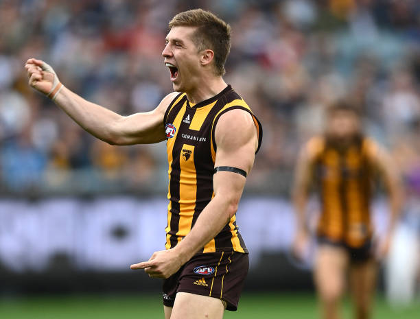 Dylan Moore of the Hawks celebrates kicking a goal during the round five AFL match between the Hawthorn Hawks and the Geelong Cats at Melbourne...