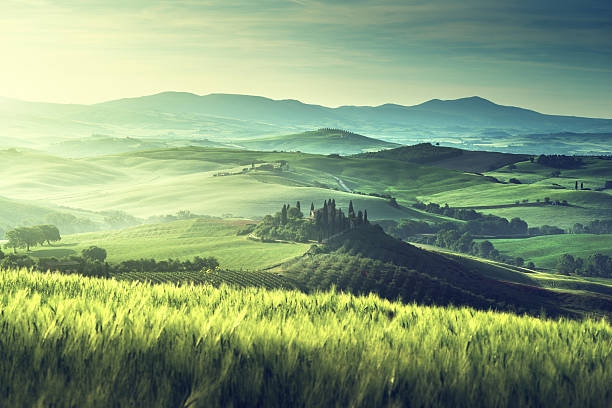 Early spring morning in Tuscany, Italy