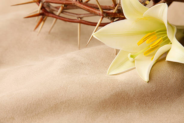 easter lily and crown of thorns - good friday stockfoto's en -beelden