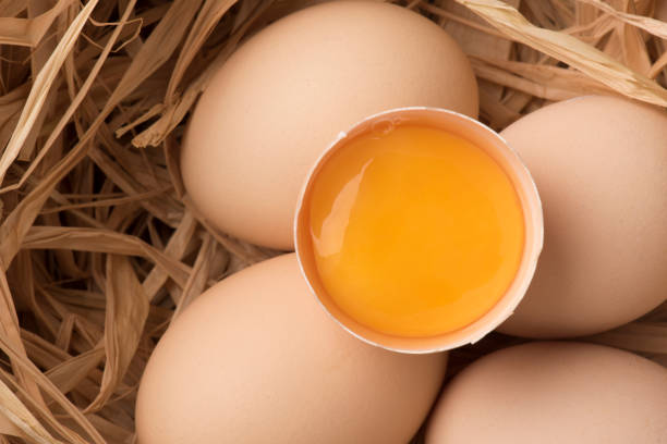egg - egg yolks stock pictures, royalty-free photos & images