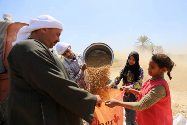EGY: War In Ukraine Sends Egypt's Wheat Price Soaring