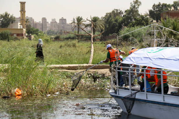 EGY: Nile Cleanup Initiative