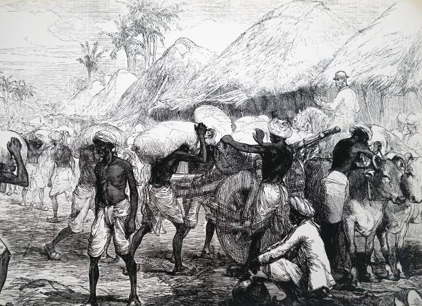 Engraving depicting famine in Bengal: Malnourished men load bullock carts with relief supplies of grain.