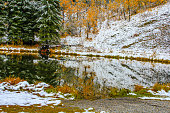 Fall colours and early snow on the lake, Sibbald Lake Provincial Recreation Area, Alberta, Canada