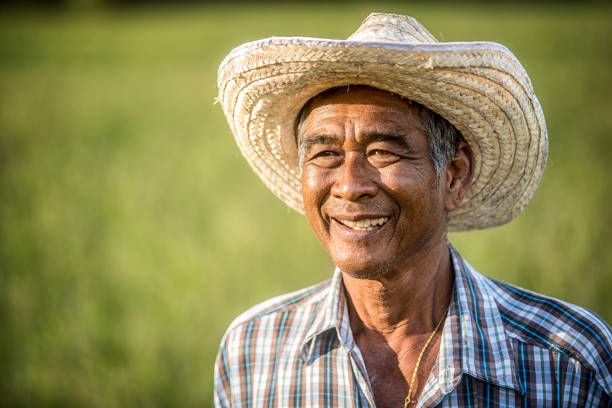 farmers are happy with the success. - asian old farmer stock pictures, royalty-free photos & images