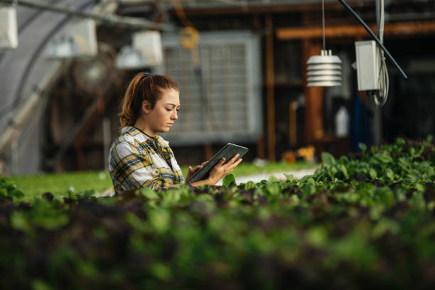 female farm worker using digital tablet in greenhouse picture