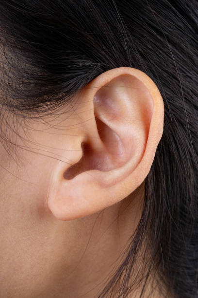 Female human ear and hair close up