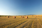 Field of hay bales, Sardinia