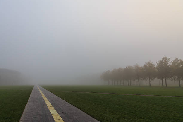 Fog Amsterdam in the morning
