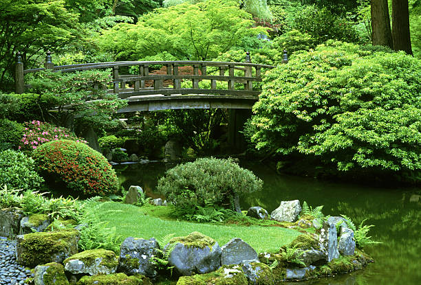 footbridge: japanese garden  portland, oregon      - portland japanese garden stock pictures, royalty-free photos & images