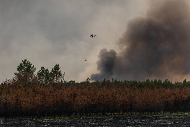 FRA: Wildfire In Landiras