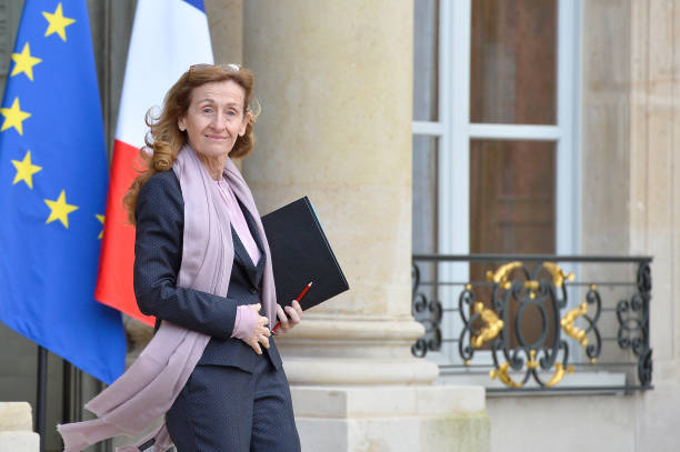 Image result for France's Justice Minister Nicole Belloubet