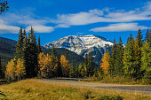 From the roadside, Sheep River Provincial Park, Alberta, Canada