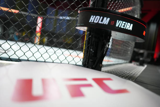NV: UFC Fight Night: Holm v Vieira