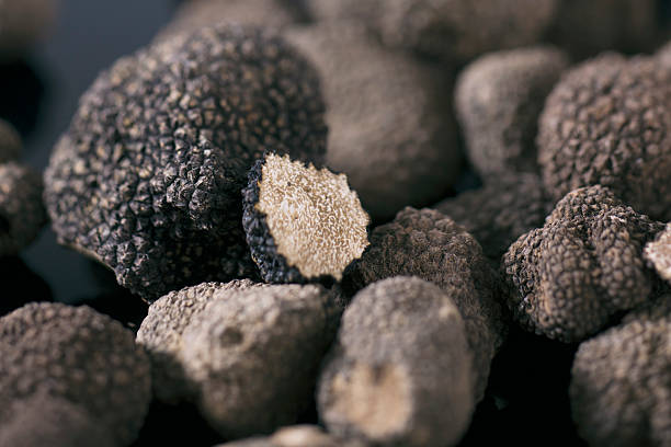 germany black truffles on table picture