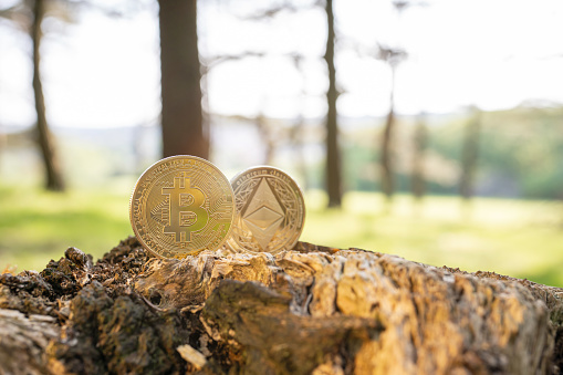 Gold Bitcoin and Ethereum on a tree outdoor, blurred background with space for text