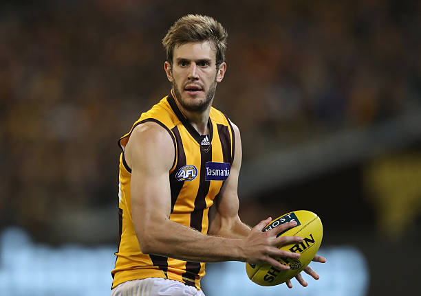 Grant Birchall of the Hawks controls the ball during the round seven AFL match between the Richmond Tigers and the Hawthorn Hawks at Melbourne...