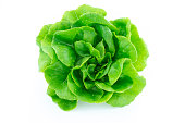 green butter lettuce
