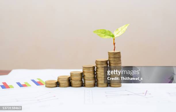 green leaf money chart table with