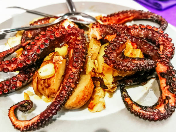 grilled octopus with garlic on bed of potatoes picture