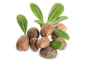 Group of Shea Nuts and leaves